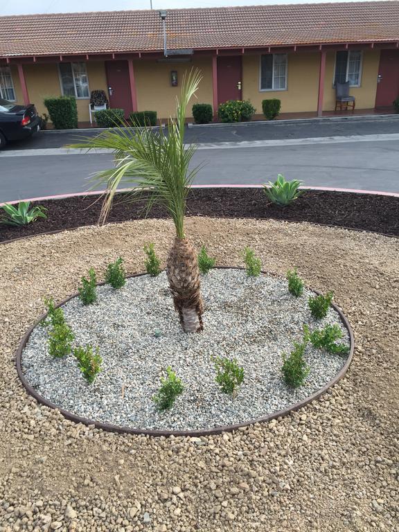 Hacienda Motel San Jacinto Exteriör bild